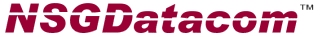 nsgdata.com
